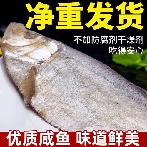金龍魚的價格是多少？（江海金龍魚的價格是多少江海金龍魚有哪些品種）