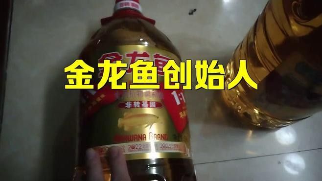 漢南金龍魚是雜牌子還是名牌？（南南金龍魚是雜牌子還是名牌？）