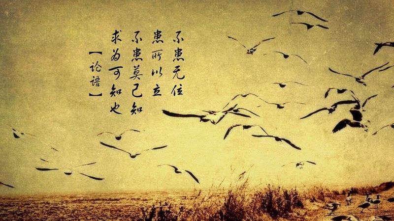 漢南金龍魚是雜牌子還是名牌？（南南金龍魚是雜牌子還是名牌？）
