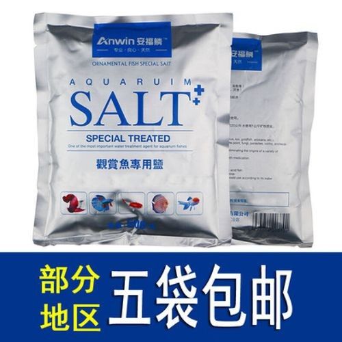 安福龍魚的市場價格如何？（安福縣龍魚養(yǎng)殖需要哪些技術，）
