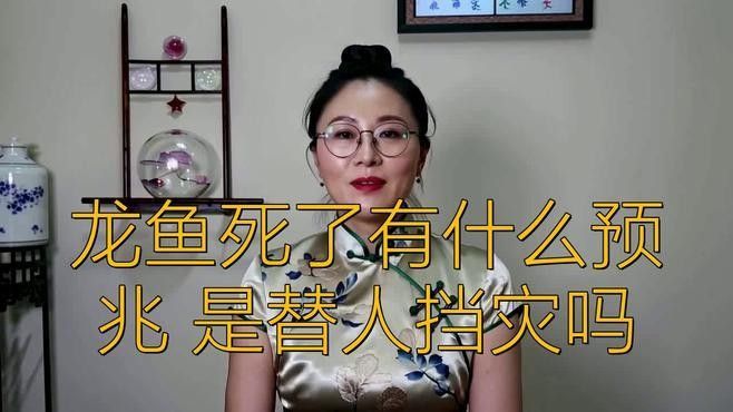 龍魚死亡有什么預兆？（傳統命理學與風水學龍魚死亡需理性看待龍魚死亡需理性看待）