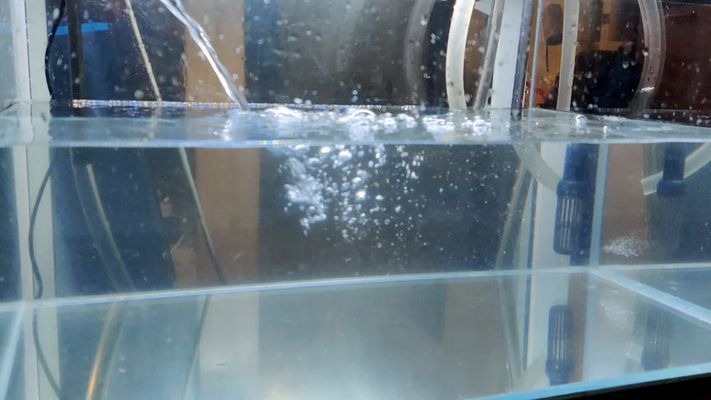 沈陽天王魚缸客服電話（沈陽天王魚缸官網(wǎng)地址電話）