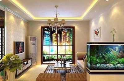 恐龍魚價格賺多少錢一條，以及恐龍魚價格到底賺多少錢一條（恐龍魚價格賺多少錢一條）