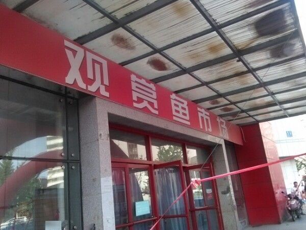 鞍山花鳥魚市場是鞍山市規模最大、人氣最高的花鳥魚蟲市場（鞍山市花鳥魚市場）