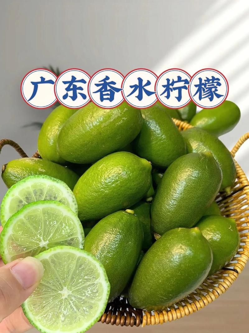 梅州市蕉嶺縣香水檸檬基地3.四季香水檸檬的特點（檸檬是一種多功能的水果）