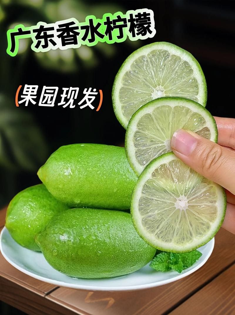 梅州市蕉嶺縣香水檸檬基地3.四季香水檸檬的特點（檸檬是一種多功能的水果）