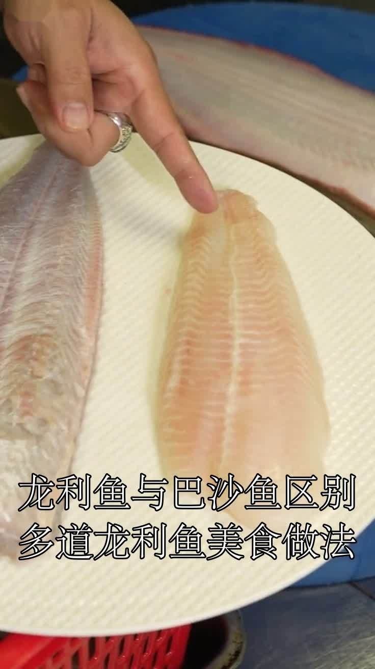 龍利魚與巴沙魚的區別,龍利魚和鯰魚哪個更有營養（龍利魚不是鯰魚，它們是兩種完全不同的魚類）