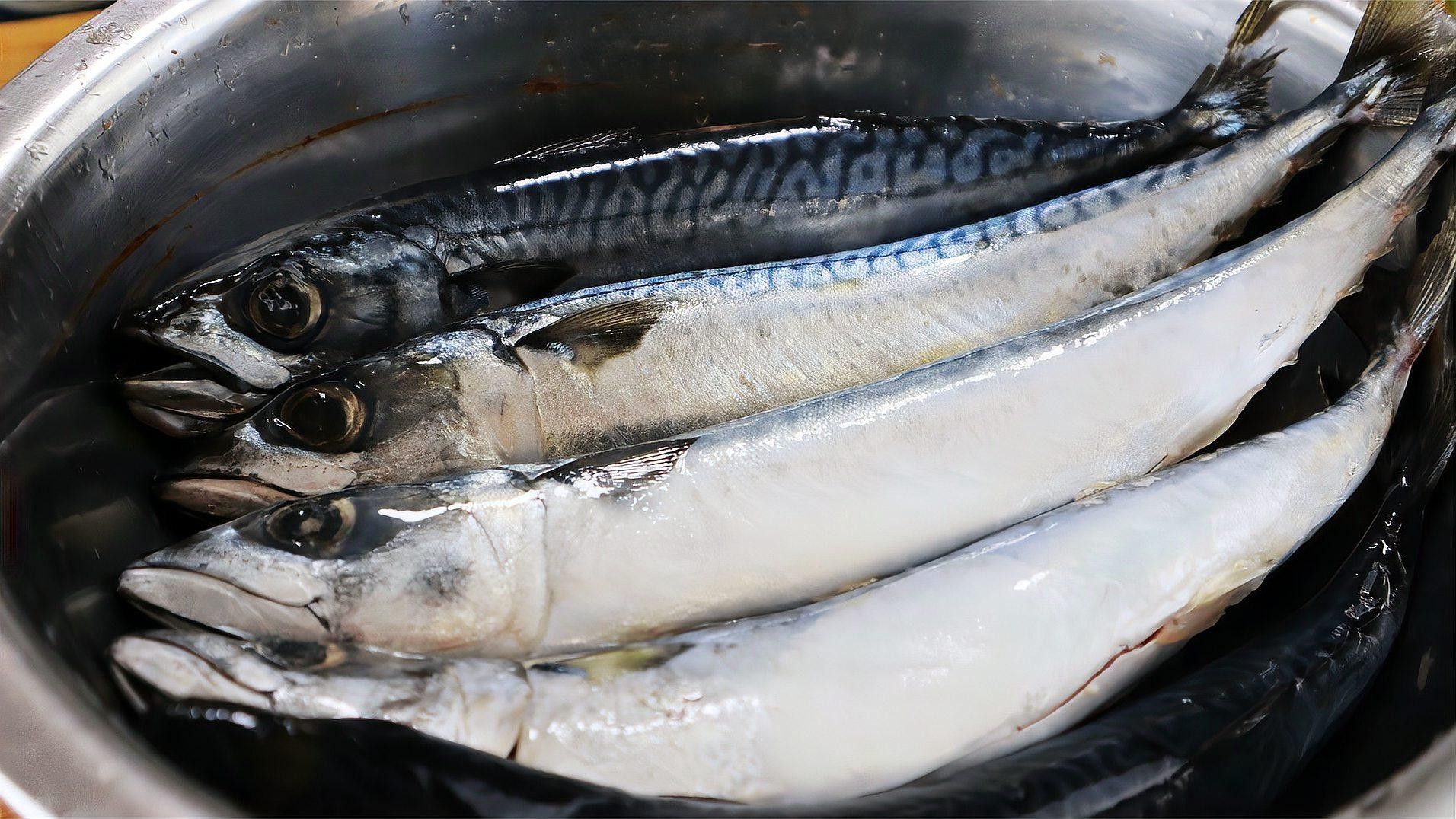 青魚的功效與作用（<strong><mark>西青</mark></strong>龍魚的功效與作用及禁忌）
