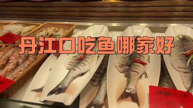 湖北丹江口翹嘴鲌魚鮮嫩美味砂鍋做法大揭秘（丹江口翹嘴鲌魚鮮嫩美味,砂鍋做法大揭秘） 湖北丹江口翹嘴鲌魚鮮嫩美味砂鍋做法大揭秘（丹江口翹嘴鲌魚鮮嫩美味,砂鍋做法大揭秘） 觀賞魚百科 第8張