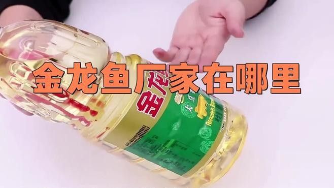 金龍魚生產(chǎn)基地一覽表（金龍魚廠家在哪里）