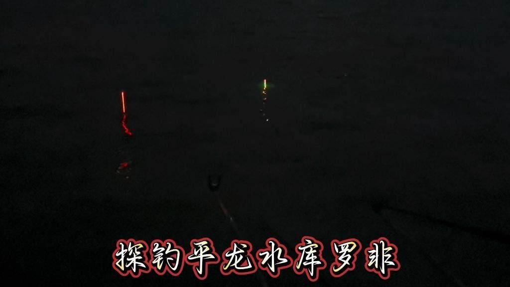 貴港平龍水庫禁止釣魚12，12，（關于平龍水庫釣魚的問題）