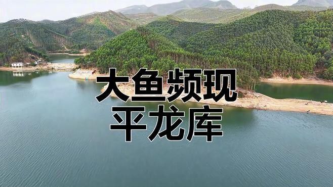貴港平龍水庫禁止釣魚12，12，（關于平龍水庫釣魚的問題）