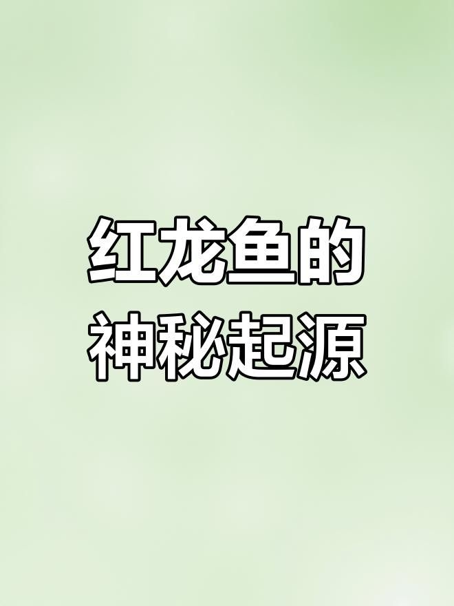 紅龍魚的歷史與文化意義（北京有哪些著名的紅龍魚養殖場？）