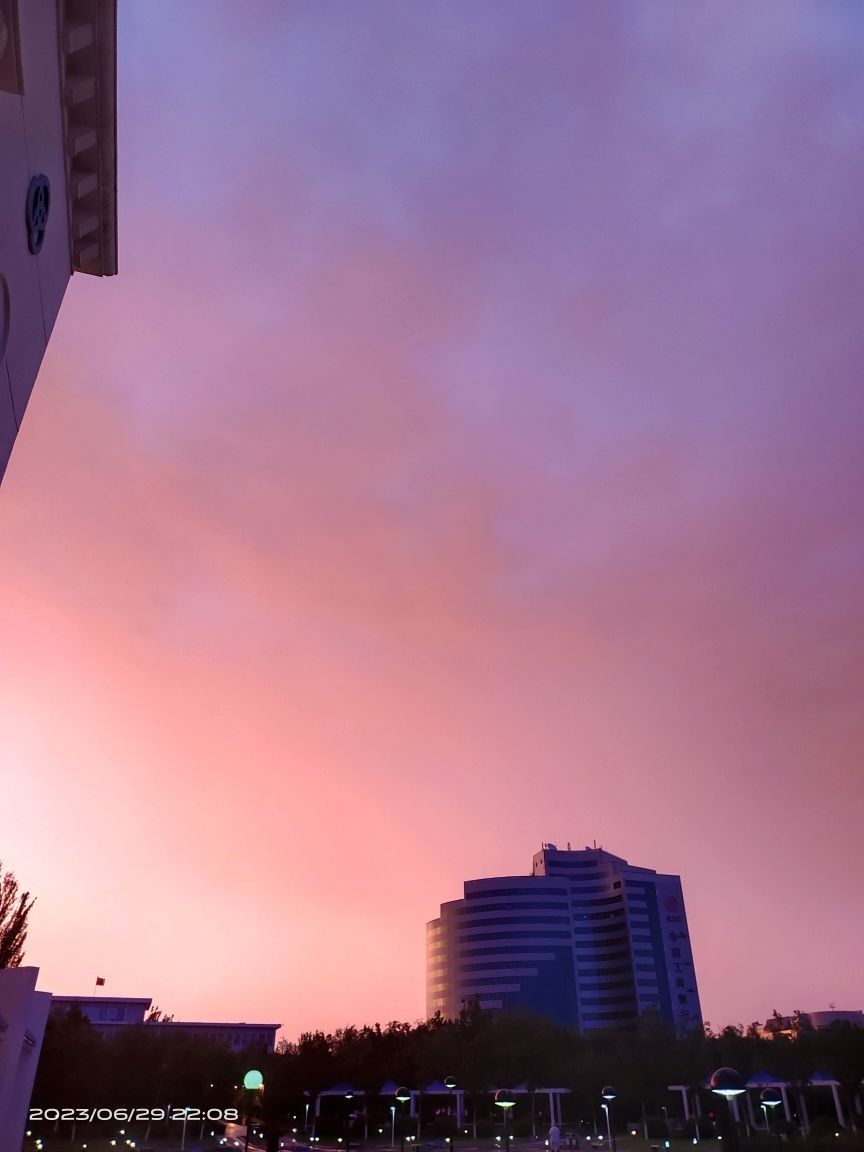 白堿灘金龍魚生態攝影的特點是什么？（新疆克拉瑪依市白堿灘區的“金龍魚”品牌或觀賞魚的具體需求）