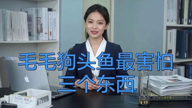 狗頭魚最忌三種東西，斑馬狗頭最怕三種顏色龍襄愛養寵聽（養狗頭魚最忌三種東西）