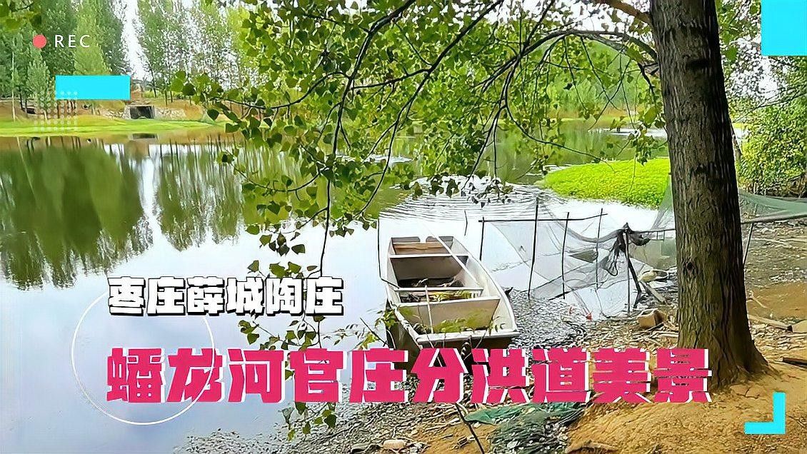 薛城蟠龍河釣魚的地方是一個集休閑、娛樂、娛樂、垂釣于一體的理想去處（薛城蟠龍河有哪些釣魚地點）