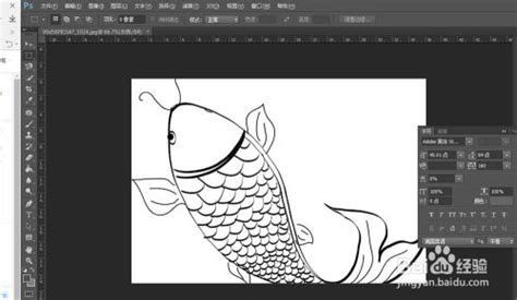 龍魚眼睛上方出現白線是怎么回事？（龍魚眼睛上方兩道白線是否會自行消失）