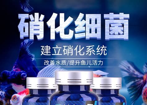 龍魚硝化細菌膠囊推薦品牌：硝化細菌膠囊推薦品牌（龍魚硝化細菌膠囊推薦）