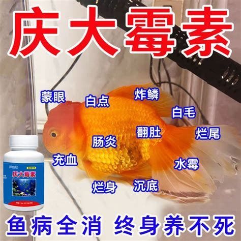 龍魚眼睛長白膜怎么辦（銀龍魚眼睛長白膜怎么辦）