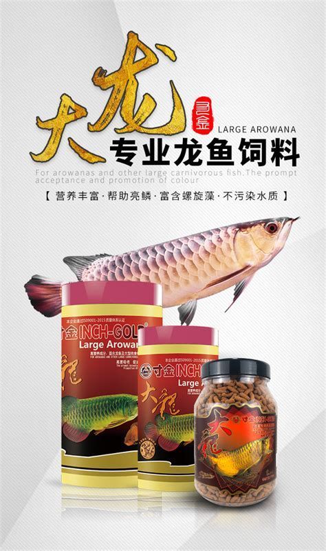 龍魚幼苗餌料選擇對于其健康成長至關重要（適合龍魚幼苗的餌料類型及喂養(yǎng)技巧）