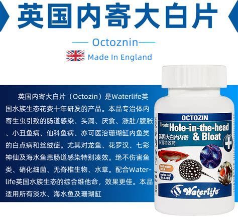 龍魚白點病的癥狀和治療方法（魚白點病的主要癥狀包括：龍魚鰭條上出現白點病的核心癥狀）