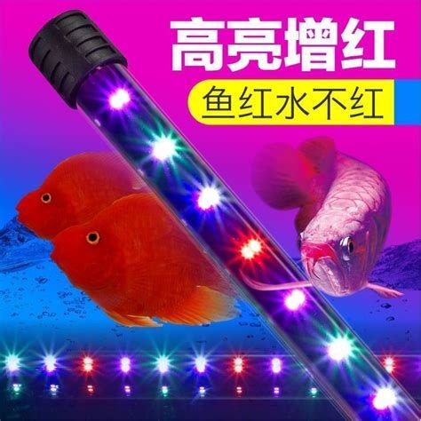 龍魚燈具選擇（亞洲龍魚魚缸燈適合多種水草和觀賞燈具類型及其特點）