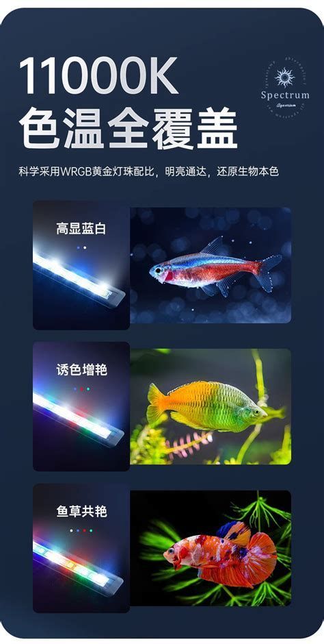 龍魚專用三色led燈，適合中小型水族箱的基礎光源選擇（龍魚專用三色led燈）