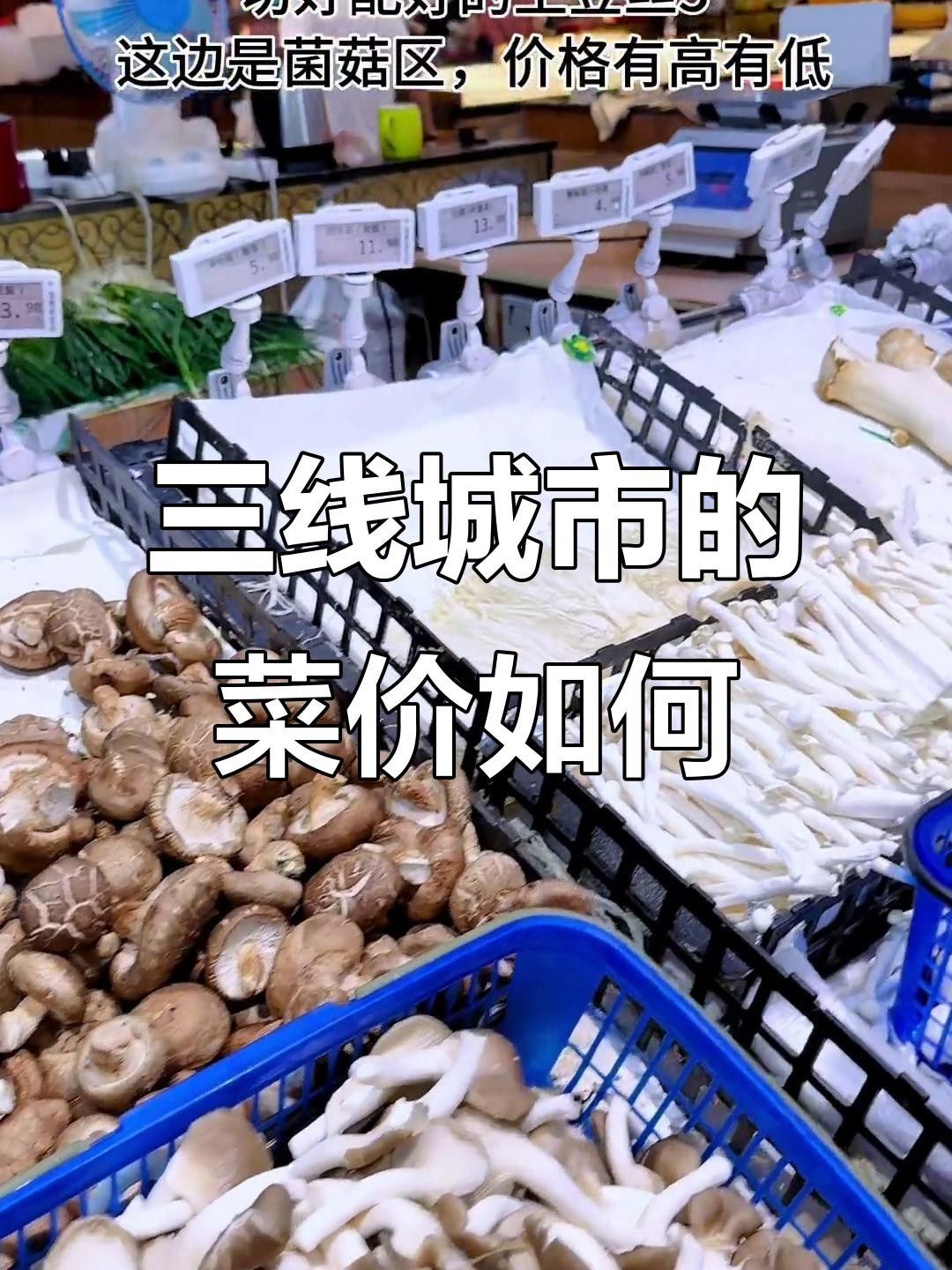 舟山紅魚的市場價格是多少？（舟山紅魚價格大揭秘舟山紅魚的價格你能接受嗎）