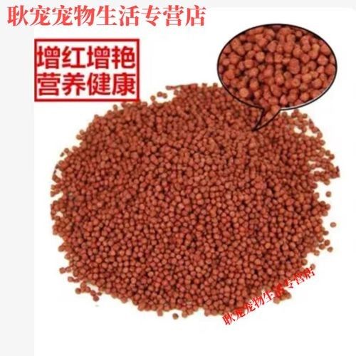 白龍魚的價格是多少？（白龍魚價格因地區、品種和大小而異，一般在100元至500元之間）