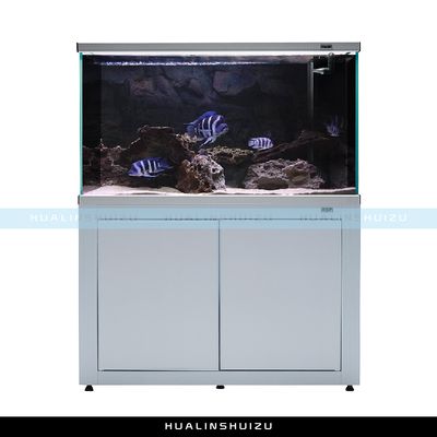 龍魚種類圖片大全（-龍魚的顏色變化與什么因素有關）