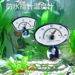 龍魚的水溫恢復時間（魚水溫恢復正常的時間取決于多種因素，龍魚水溫恢復正常狀態）