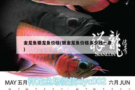 龍魚體色暗淡是營養(yǎng)不足的信號(hào)（龍魚體色變化往往是“營養(yǎng)不足”或“水質(zhì)不佳”的信號(hào)）