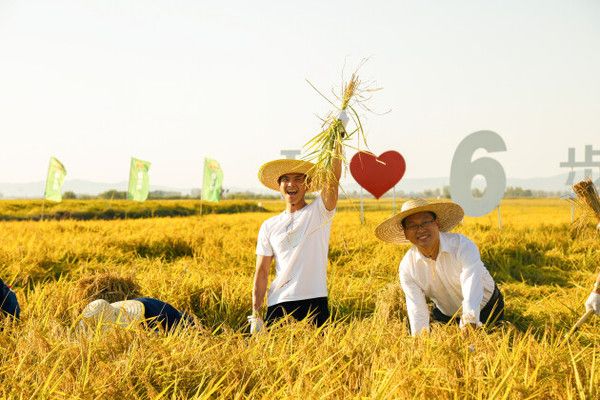 吳忠水產(chǎn)批發(fā)市場（北京最大的觀賞魚市場吳忠水族批發(fā)市場地址在哪里）