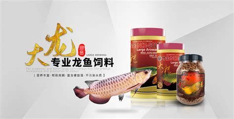 趴缸龍魚的飼料和食物選擇（趴缸龍魚的投喂位置）