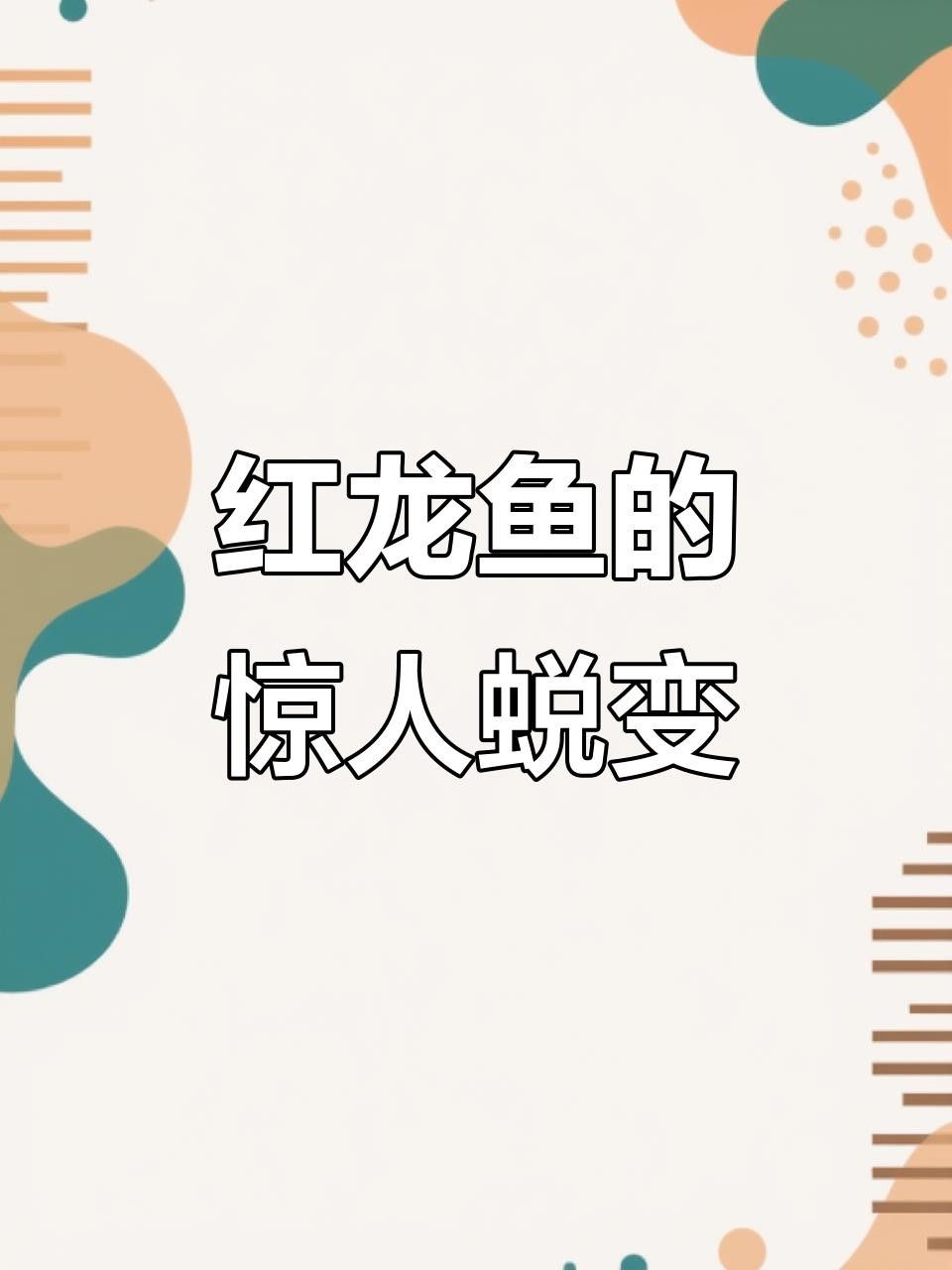 孟州紅龍魚養殖技巧:孟吉爾紅龍魚的繁殖方法（孟吉爾紅龍魚市場價格）