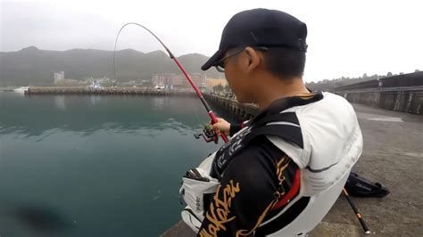 龍魚在魚缸里亂竄是病了嗎，（龍魚在魚缸里亂竄是怎么回事？）