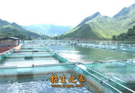 天津市北辰區雙口鎮后堡村龍魚養殖基地（華北地區規模最大的觀賞魚養殖基地之一）
