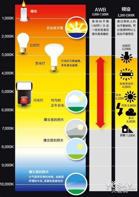 龍魚燈的色溫如何設置最佳
