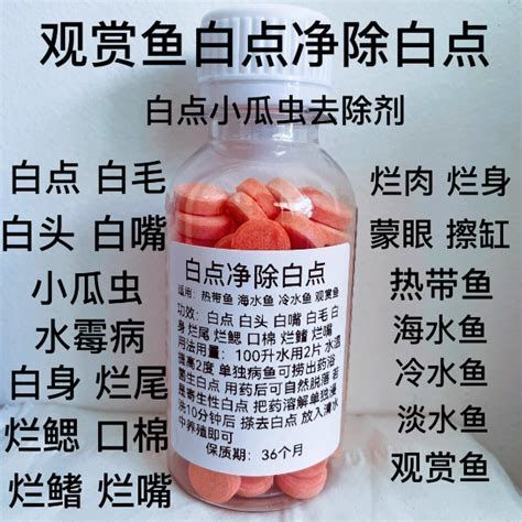 龍魚長白毛需要換水嗎龍魚長白毛是否需要換水（關于龍魚長白毛是否需要換水的詳盡分析（約1000字））