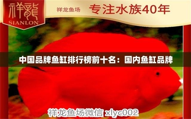 龍魚混養什么魚最好養什么魚最好養活，龍魚混養什么魚最好養活（龍魚混養什么魚好養）