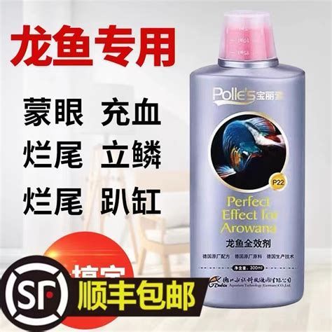 龍魚蒙眼加黑身的恢復(fù)過程是基于當(dāng)前養(yǎng)魚經(jīng)驗(yàn)的詳細(xì)解析（龍魚蒙眼加黑身可能是身體在修復(fù)過程中的暫時(shí)表現(xiàn)）