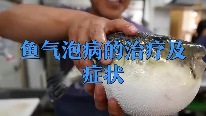 龍魚鰓蓋起泡怎么辦龍魚鰓蓋起泡怎么辦（龍魚得了水泡病怎么辦）