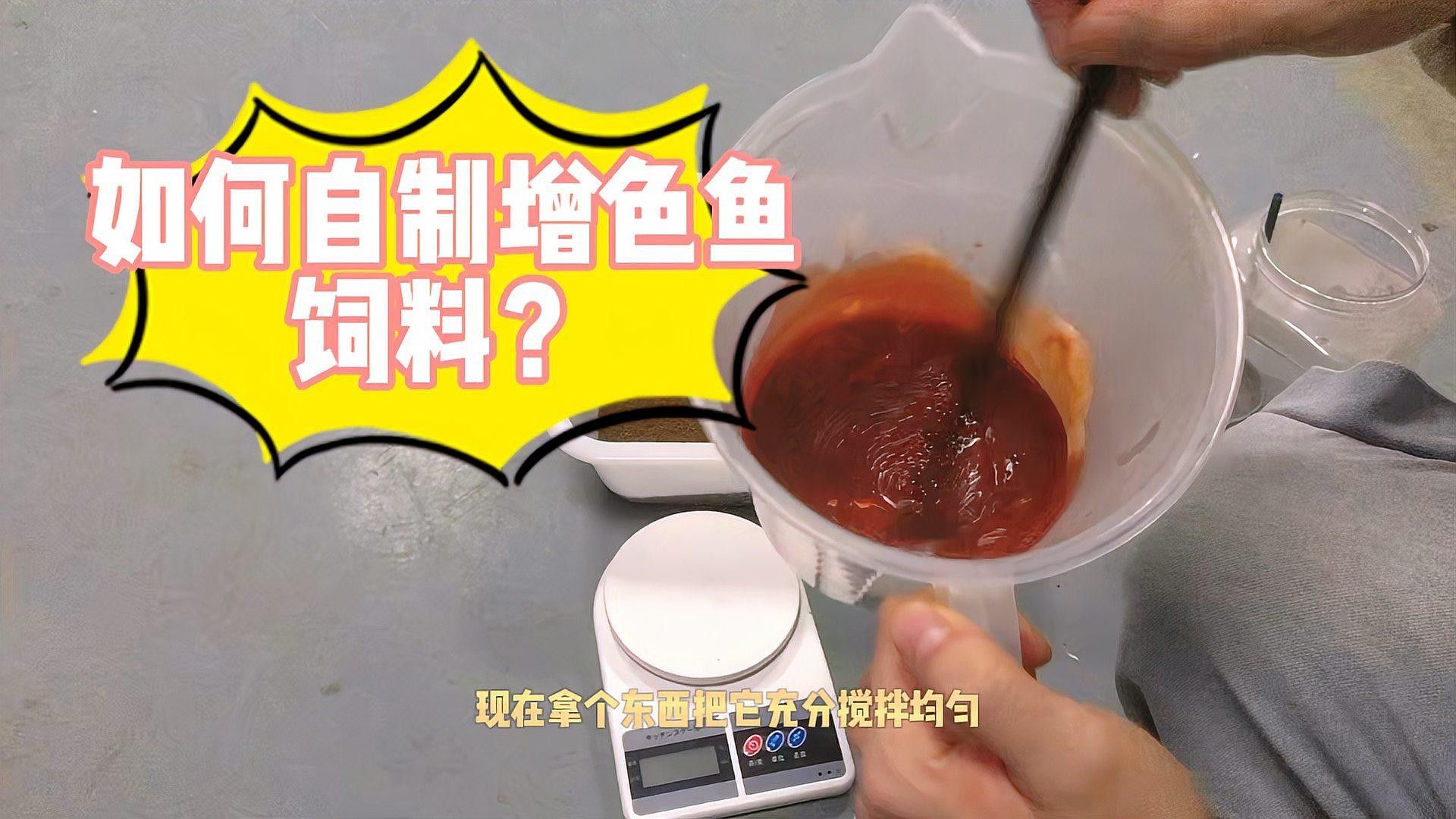 自制魚飼料配方和注意事項(xiàng)，（自制魚飼料最佳配方）