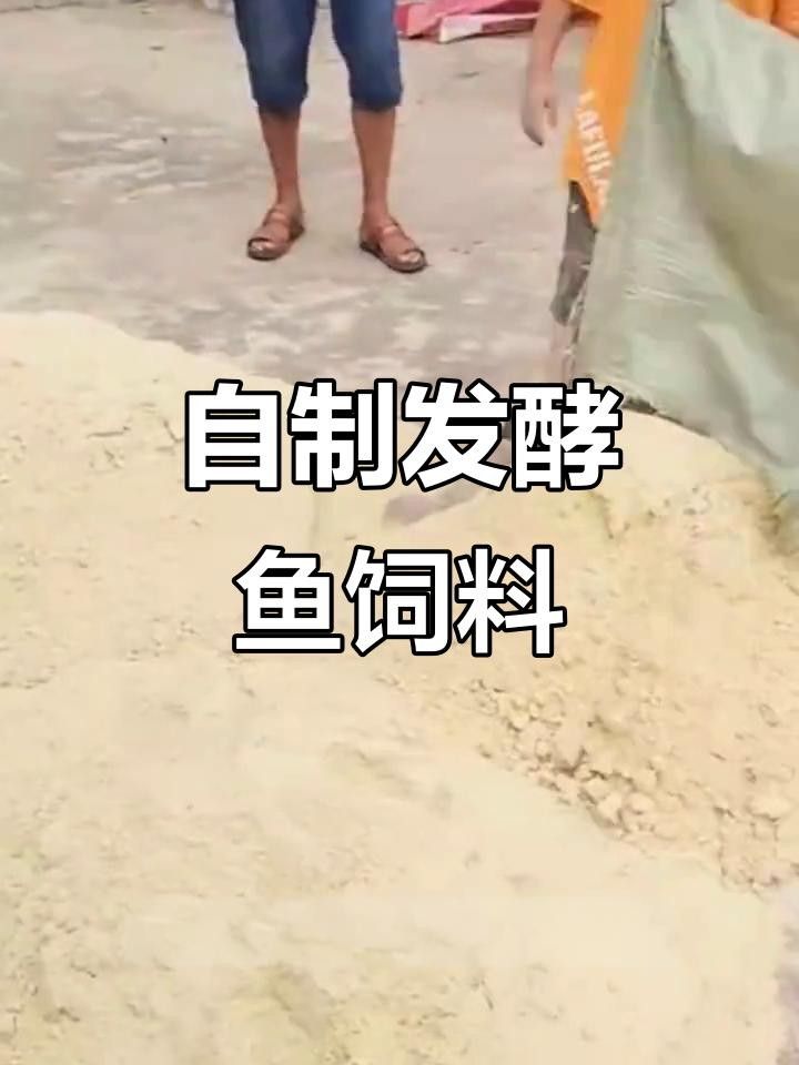 自制魚飼料配方和注意事項(xiàng)，（自制魚飼料最佳配方）