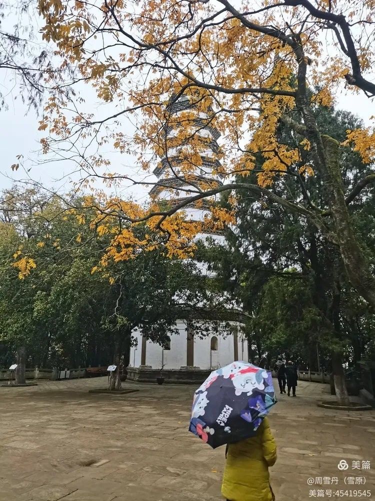 閬中有哪些值得吃魚的地點？（閬中吃魚十大排名雙寶樂媽早教四川閬中吃魚十大排名）