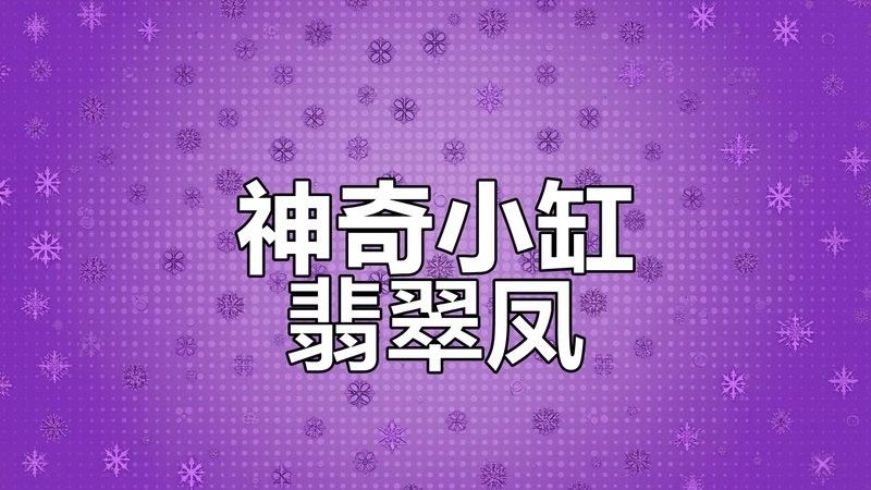 翡翠鳳凰魚（pelvicachromistaeniatus）（愛奇藝給大家介紹一下翡翠鳳凰魚）