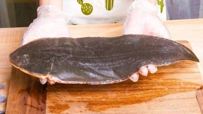 龍利魚，你吃過嗎？（潮汕龍利魚|帶你吃遍100道潮汕小海鮮）