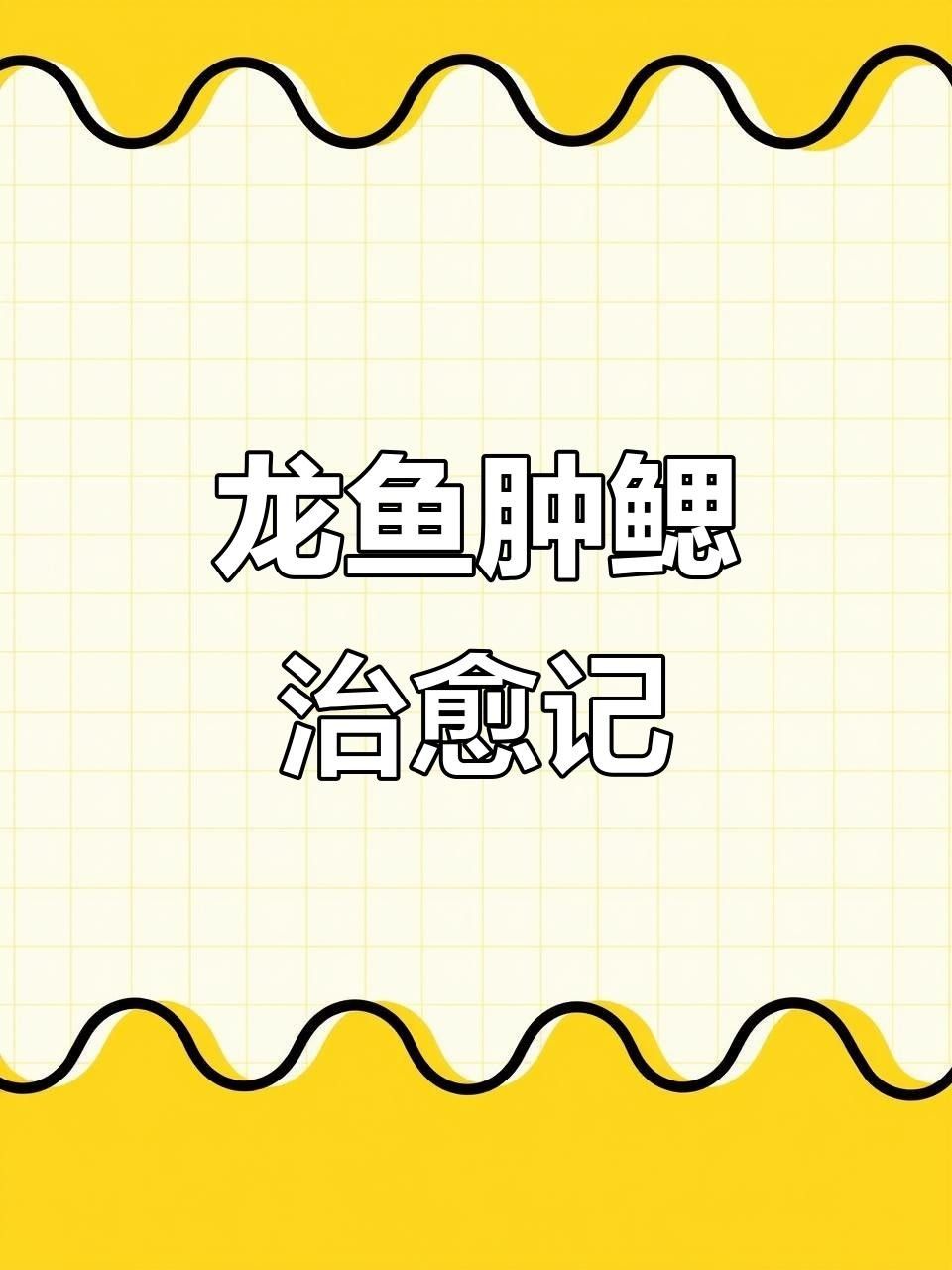 龍魚鰓蓋長包的原因和處理方法，老魚友教你簡單防治（龍魚鰓蓋長包怎么辦？）