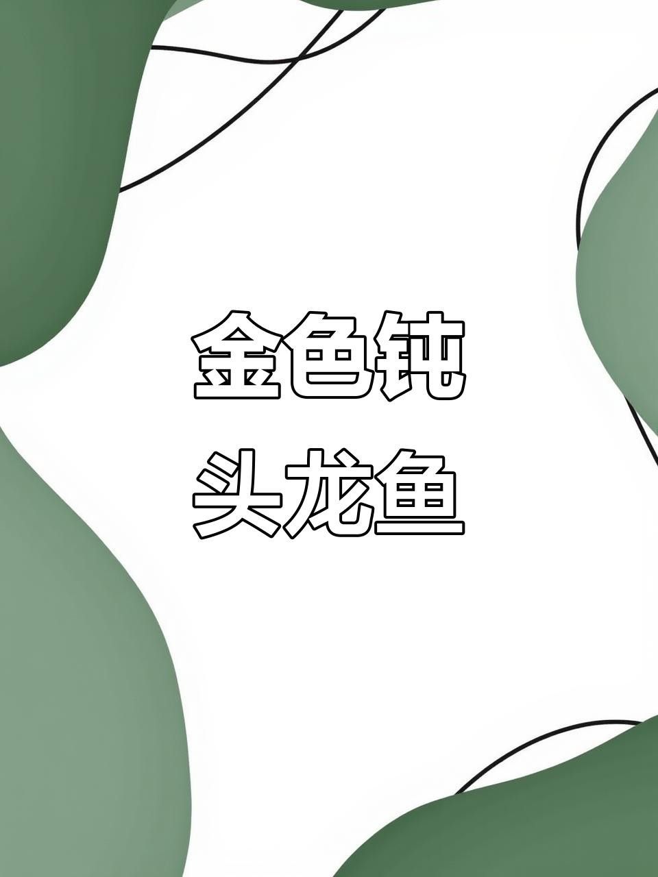 25厘米左右龍魚的價格是多少？（25厘米左右的龍魚價格多少錢一條呆萌醬）