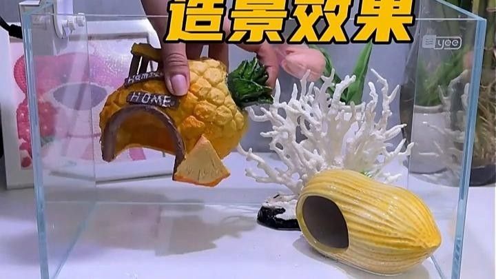 yee品牌有哪些系列？yee魚缸的價格范圍是多少？（yee你的水族世界品牌yee品牌介紹）